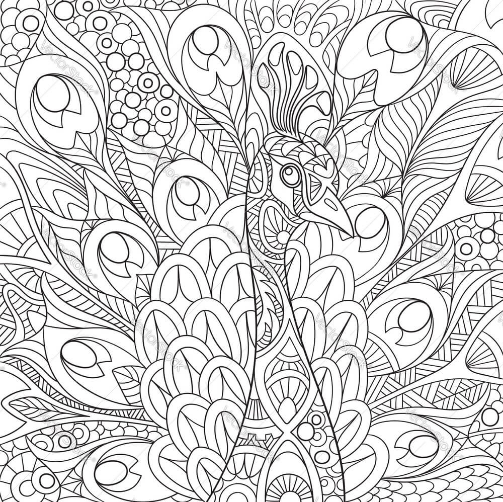 Dibujos de Cara Pavo real Mandala para colorear