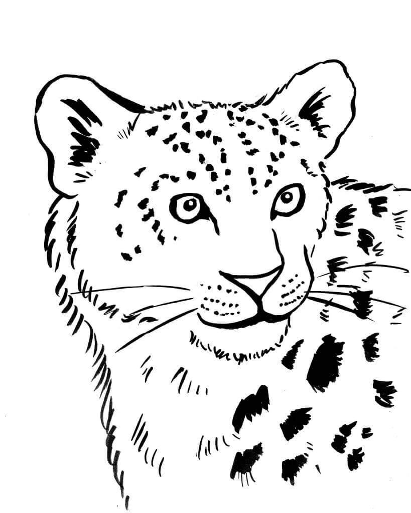 Dibujos de Cara de Leopardo para colorear