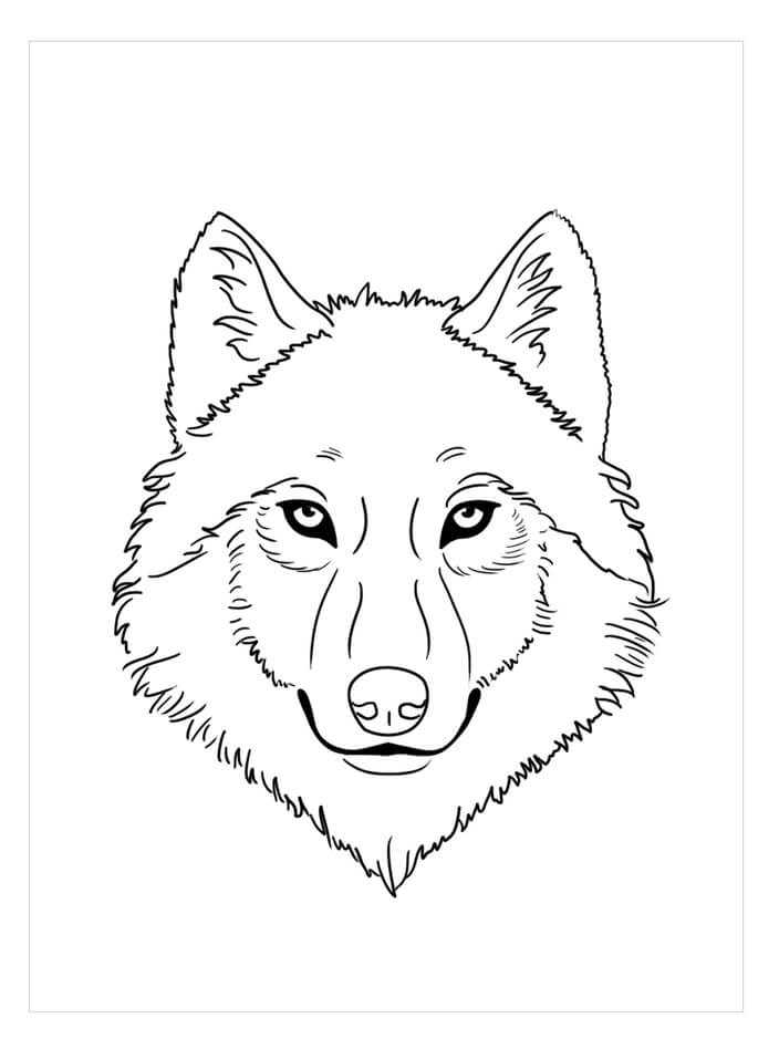 Cara de Lobo para colorir