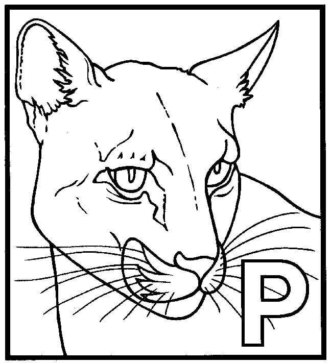 Dibujos de Cara de Pantera con P para colorear
