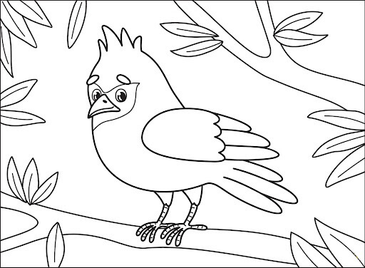 Caricatura Cardinal para colorir