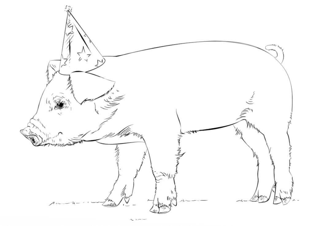 Dibujos de Cerdo con Gorro de Fiesta para colorear