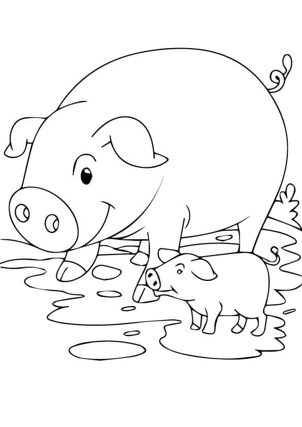 Cerdo y Lechón para colorir