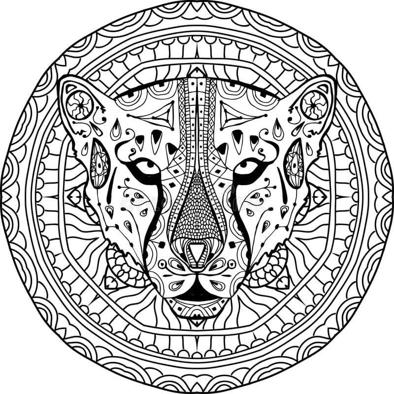 Dibujos de Cheetah es para Adultos para colorear