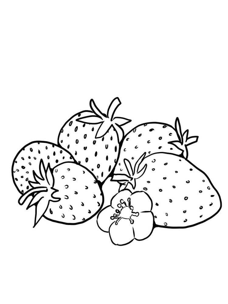 Dibujos de Cinco Fresas con Flor para colorear