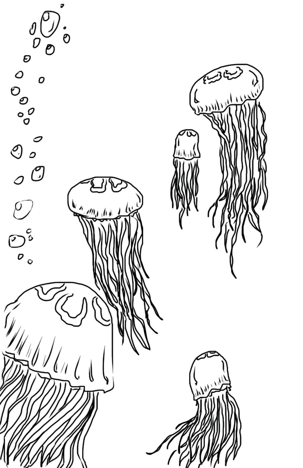 Dibujos de Cinco Medusas para colorear