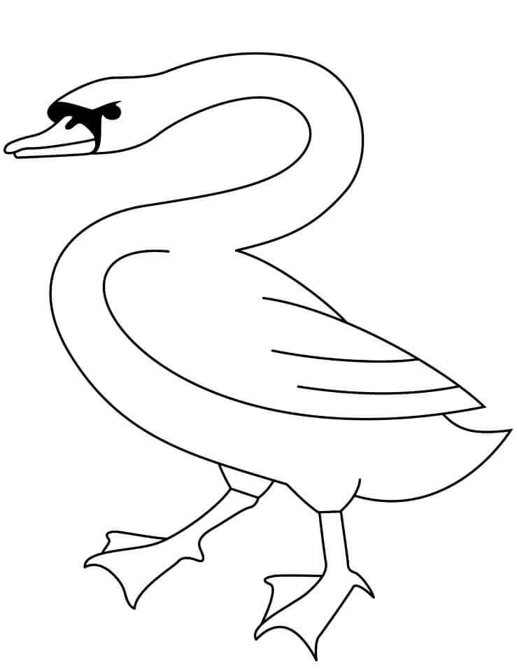 Dibujos de Cisne Caminando para colorear