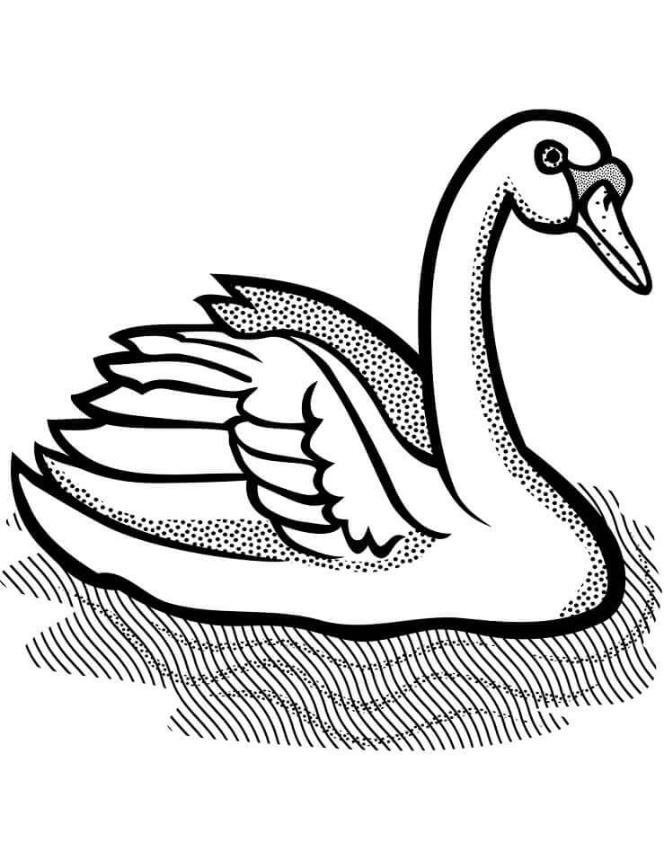 Dibujos de Cisne Mudo para colorear