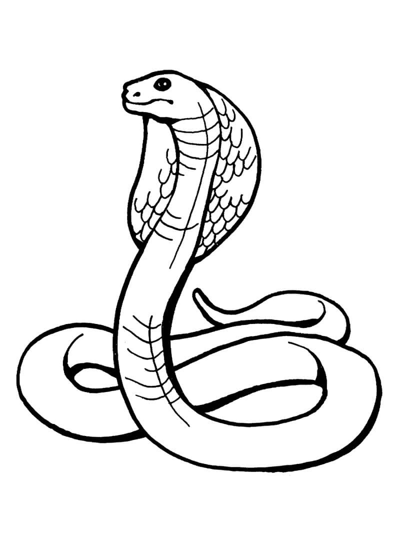 Cobra Genial para colorir