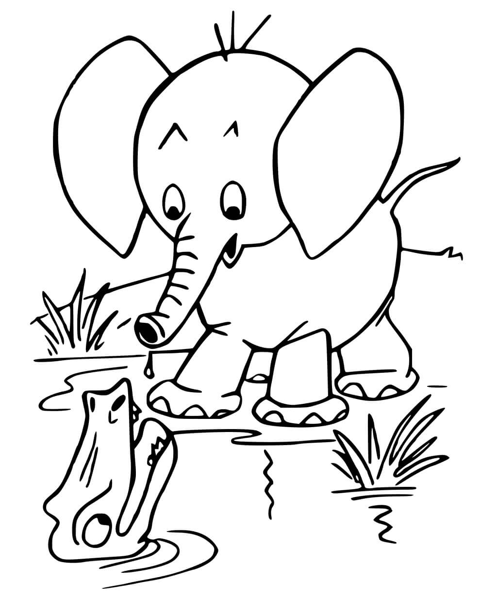 Dibujos de Cocodrilo y Elefante para colorear