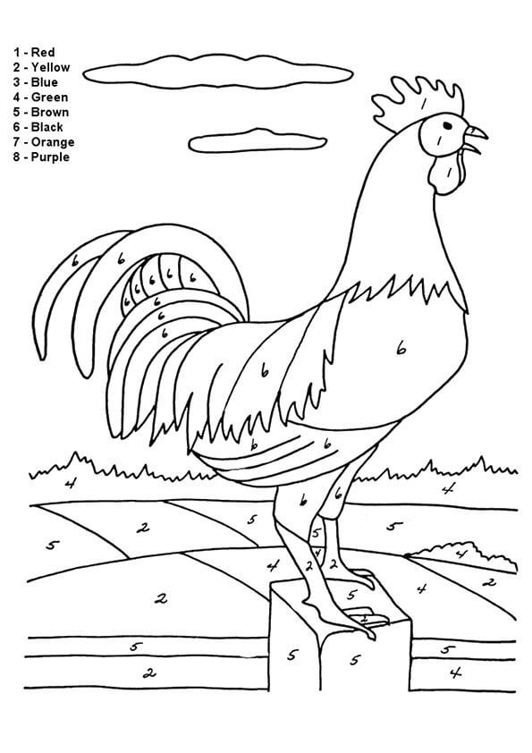 Dibujos de Color de Gallo por Numero para colorear