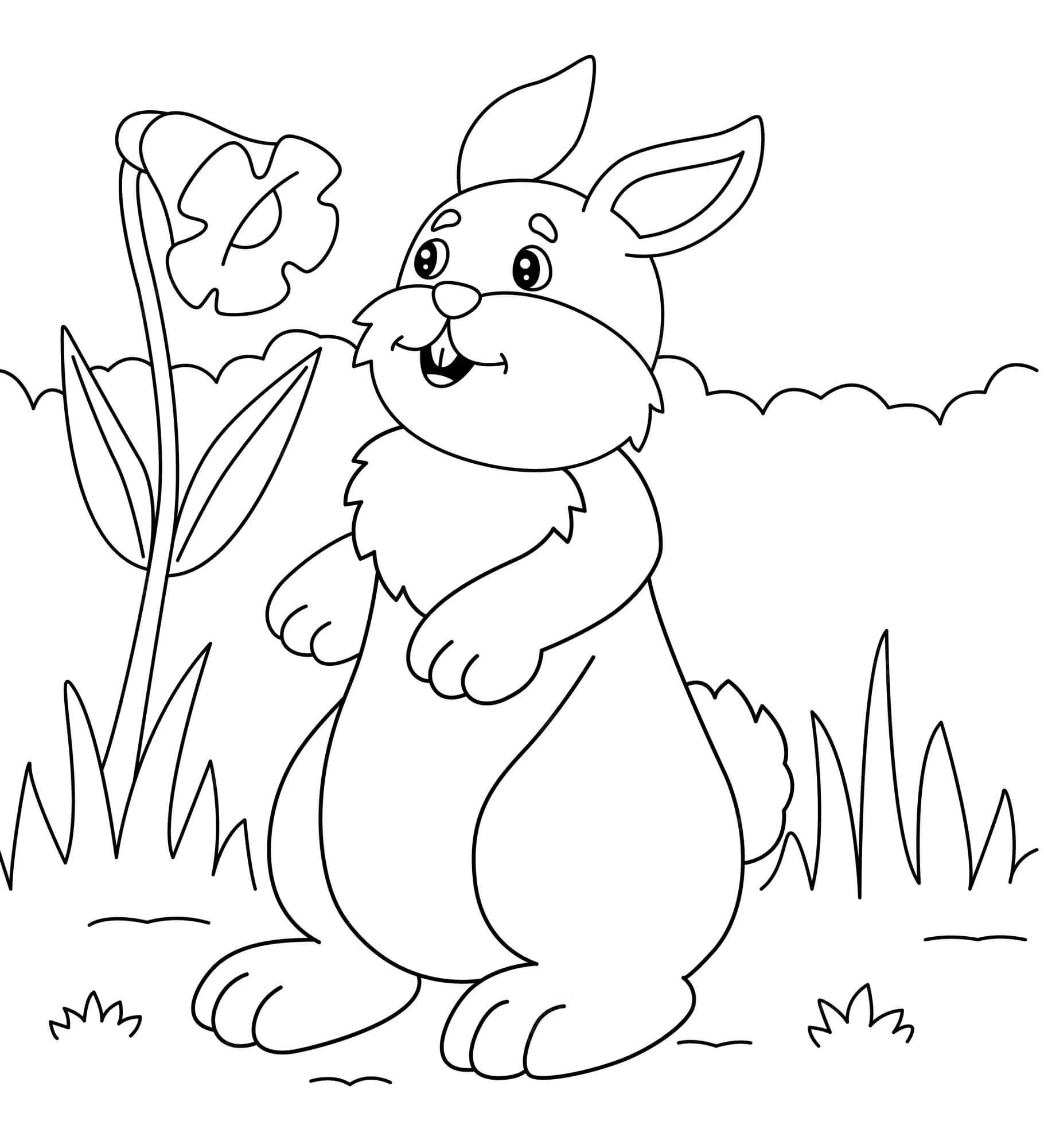 Conejo con Flor para colorir