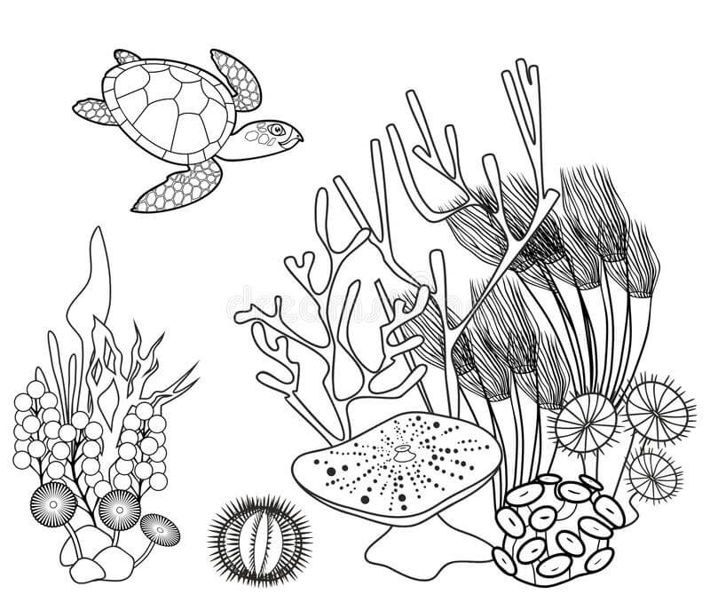 Dibujos de Coral Bajo el Mar para colorear