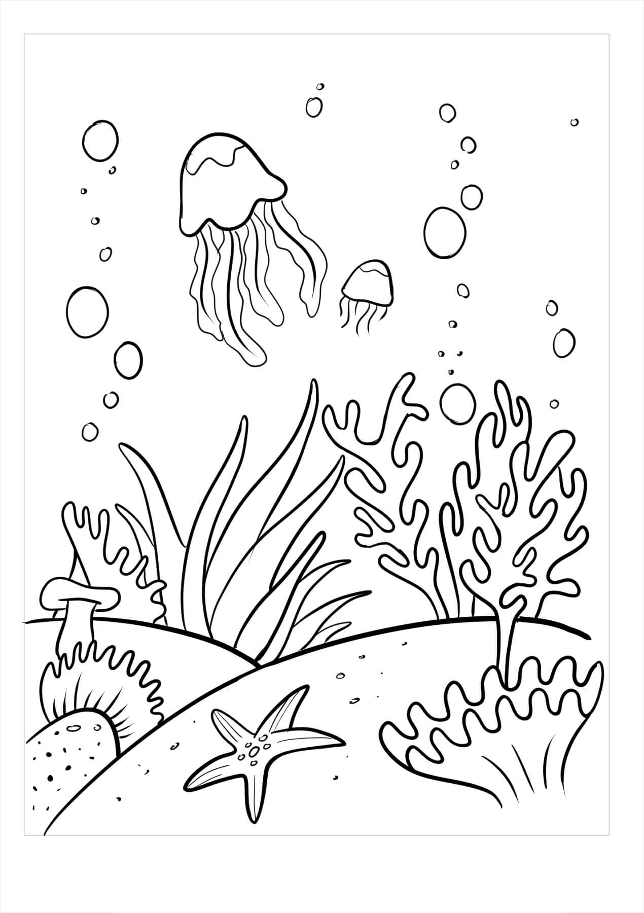 Dibujos de Coral Básico para colorear
