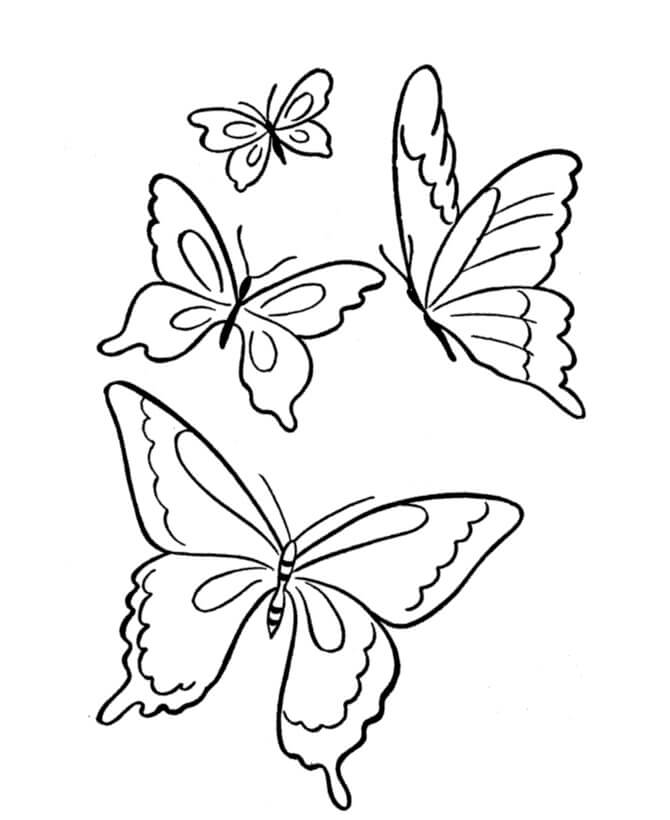 Dibujos de Cuatro Mariposas para colorear