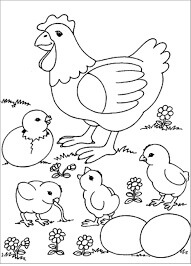 Dibujos de Cuatro Pollitos y Gallina para colorear
