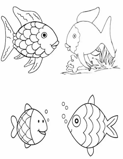 Cuatro peces Arcoiris para colorir