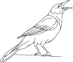 Cuervo Cantando para colorir