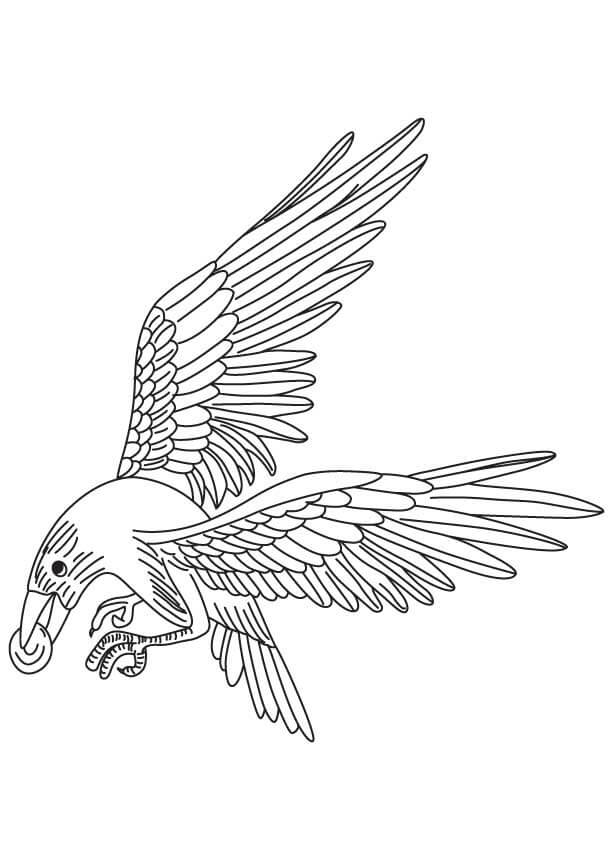 Dibujos de Cuervo Fresco para colorear
