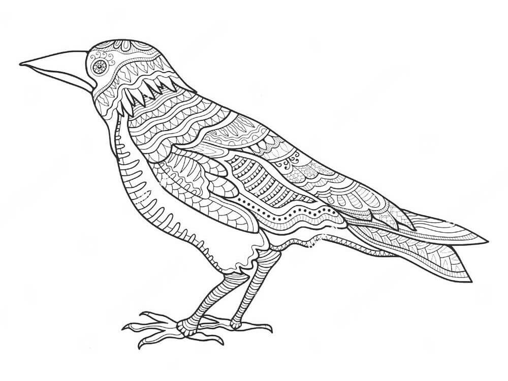 Dibujos de Cuervo Zentangle para colorear