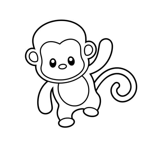 Cute Monkey para colorir