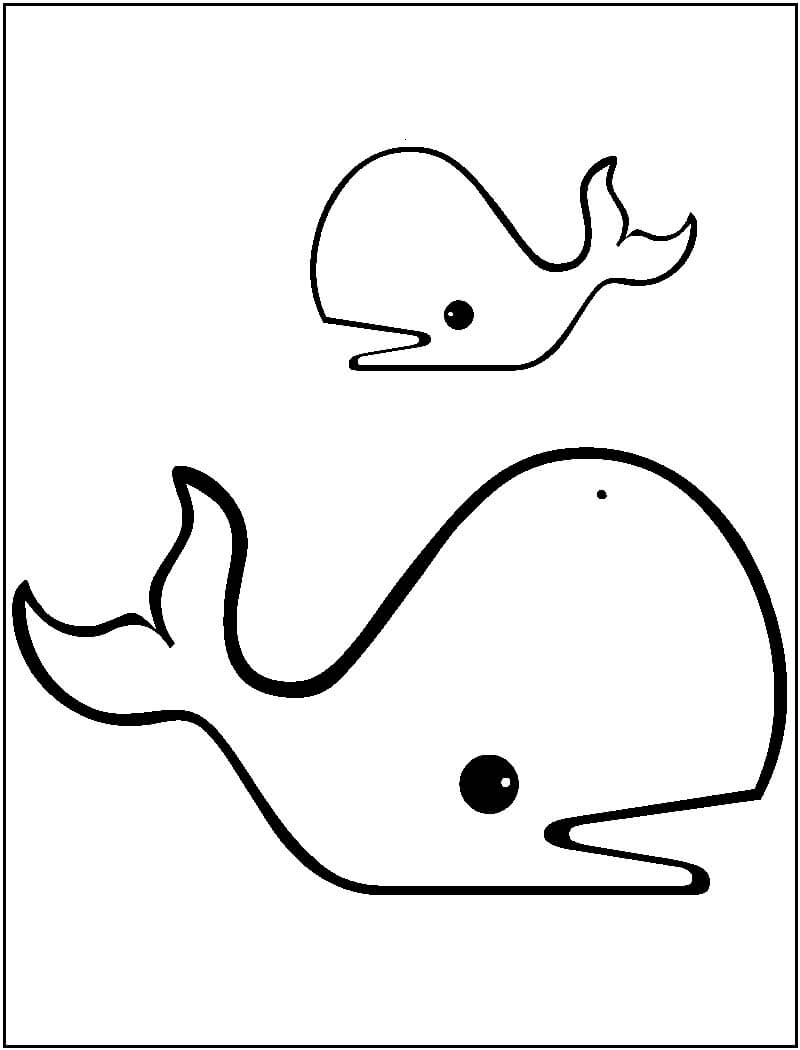 Dibujos de Dibujar dos Ballenas para colorear