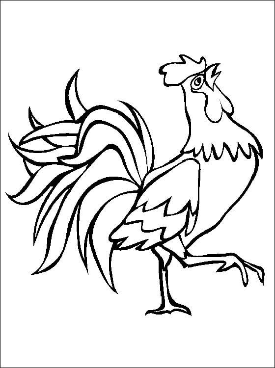 Dibujo Gallo para colorir