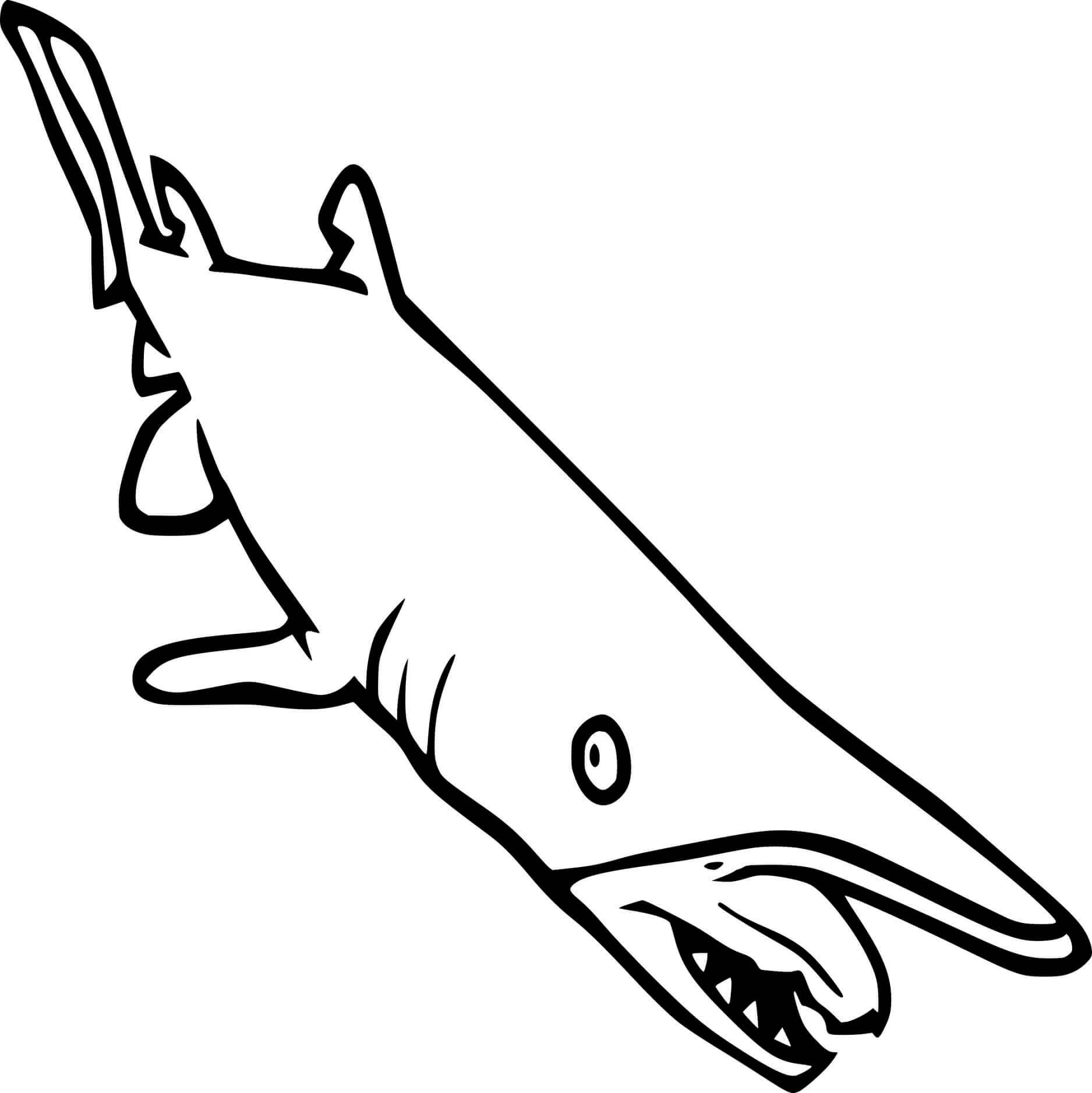 Dibujos de Dibujo Gran Tiburón Duende para colorear