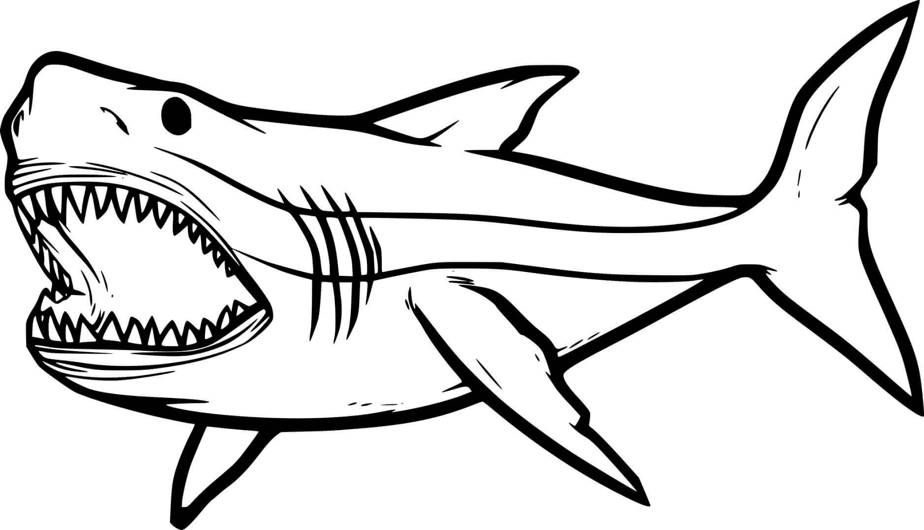 Dibujos de Dibujo Tiburon para colorear