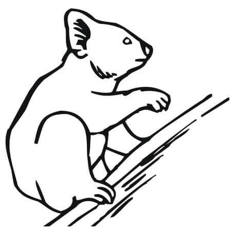 Dibujos de Dibujo de Escalada de Koalas para colorear