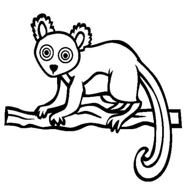 Dibujo de Lémur para colorir