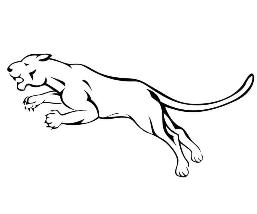 Dibujos de Dibujo de Puma Saltando para colorear