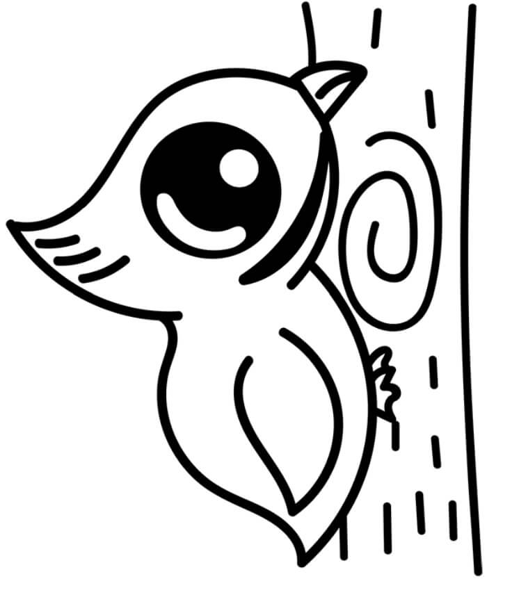 Dibujo de Pájaro Carpintero Bebé para colorir