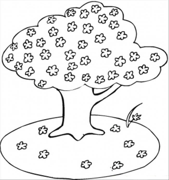 Dibujos de Dibujo de Árbol de Flor de Cerezo para colorear