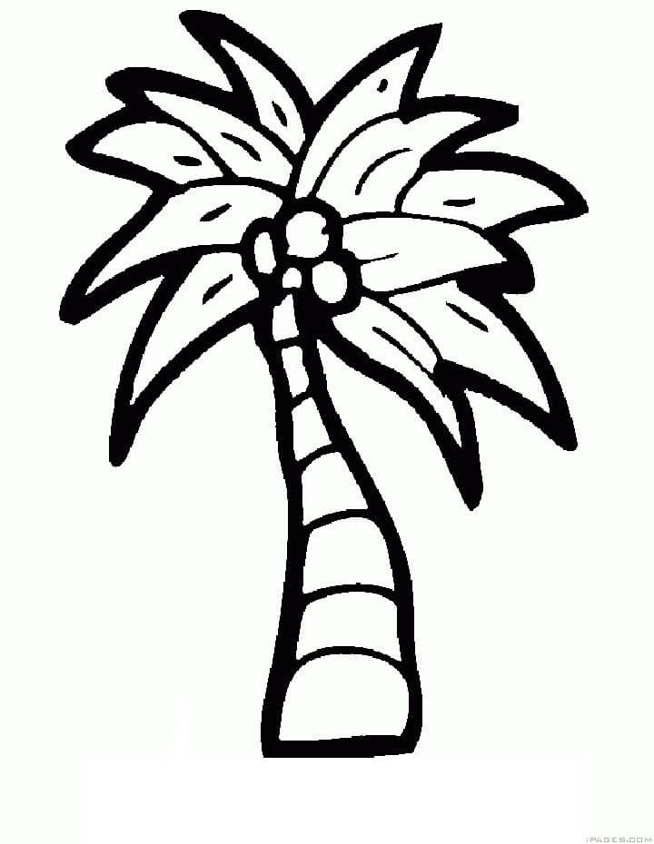 Dibujo de árbol de Coco para colorir