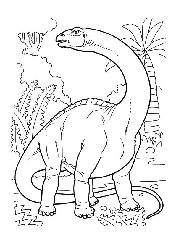 Dino Catrak para colorir