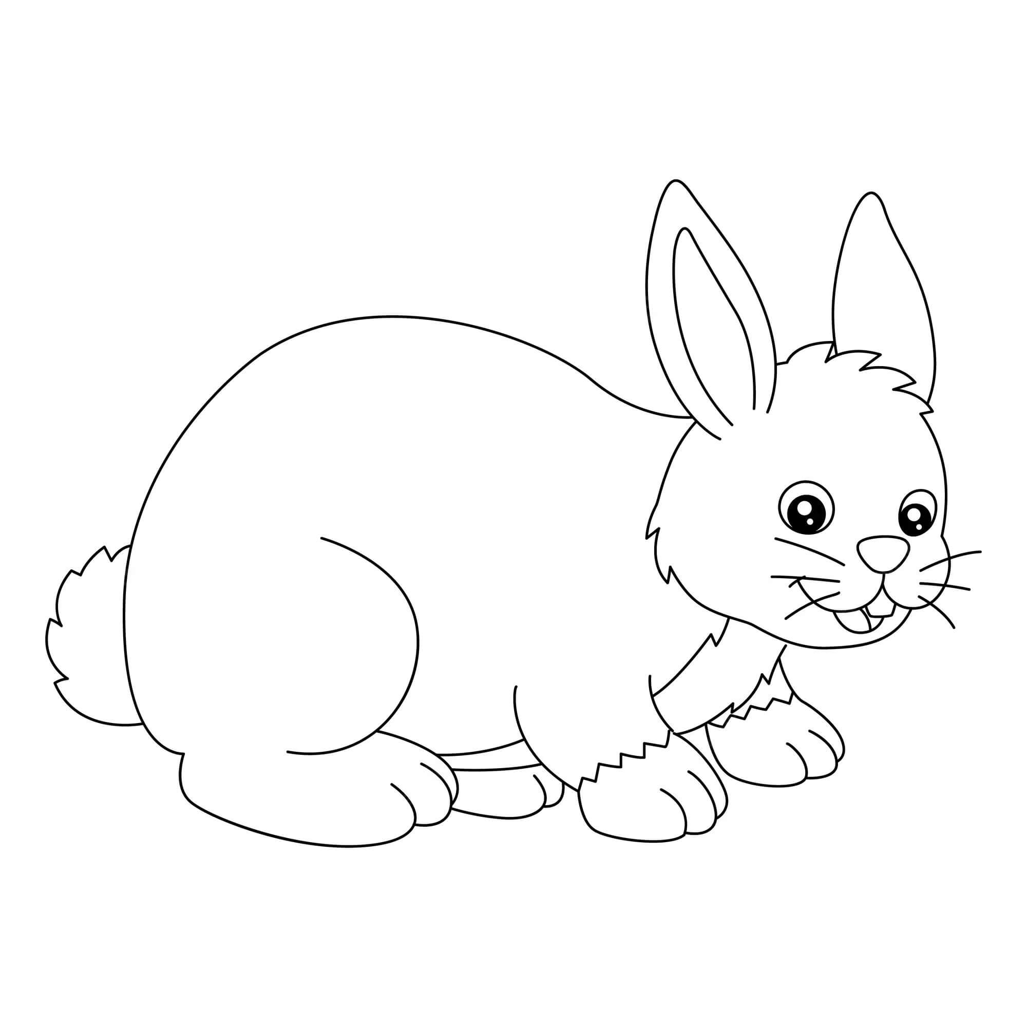 Dibujos de Divertido Conejo para colorear