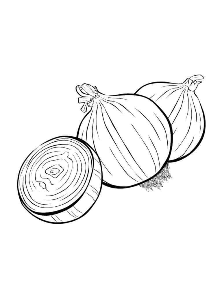 Dibujos de Dos Cebollas y media Cebolla para colorear