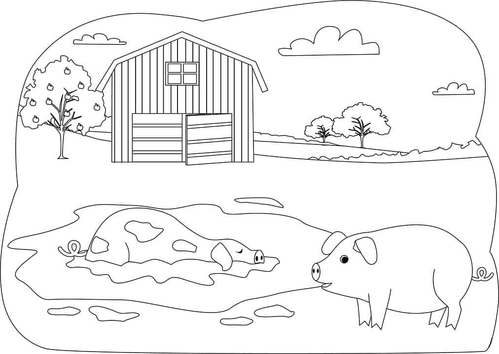 Dibujos de Dos Cerdos para colorear