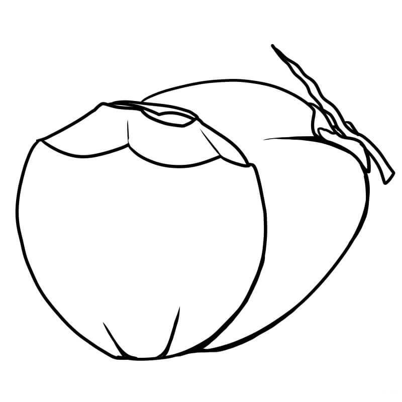 Dibujos de Fruta de Coco