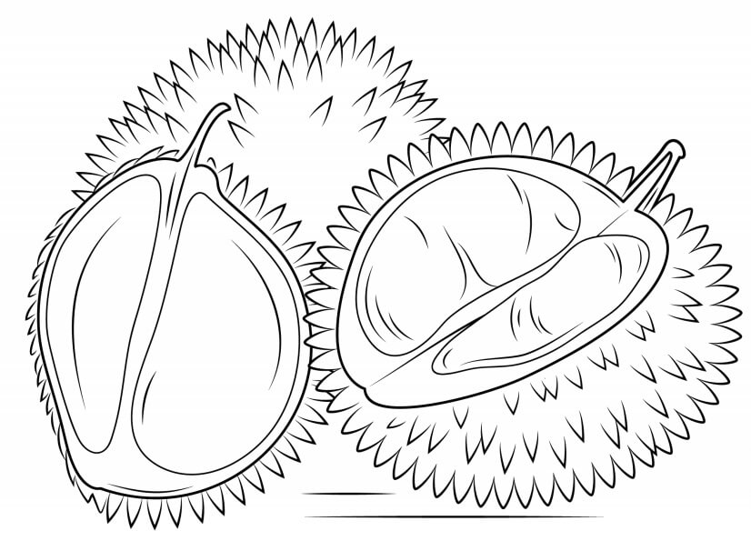 Dibujos de Dos Durianos y Medio Durianos para colorear
