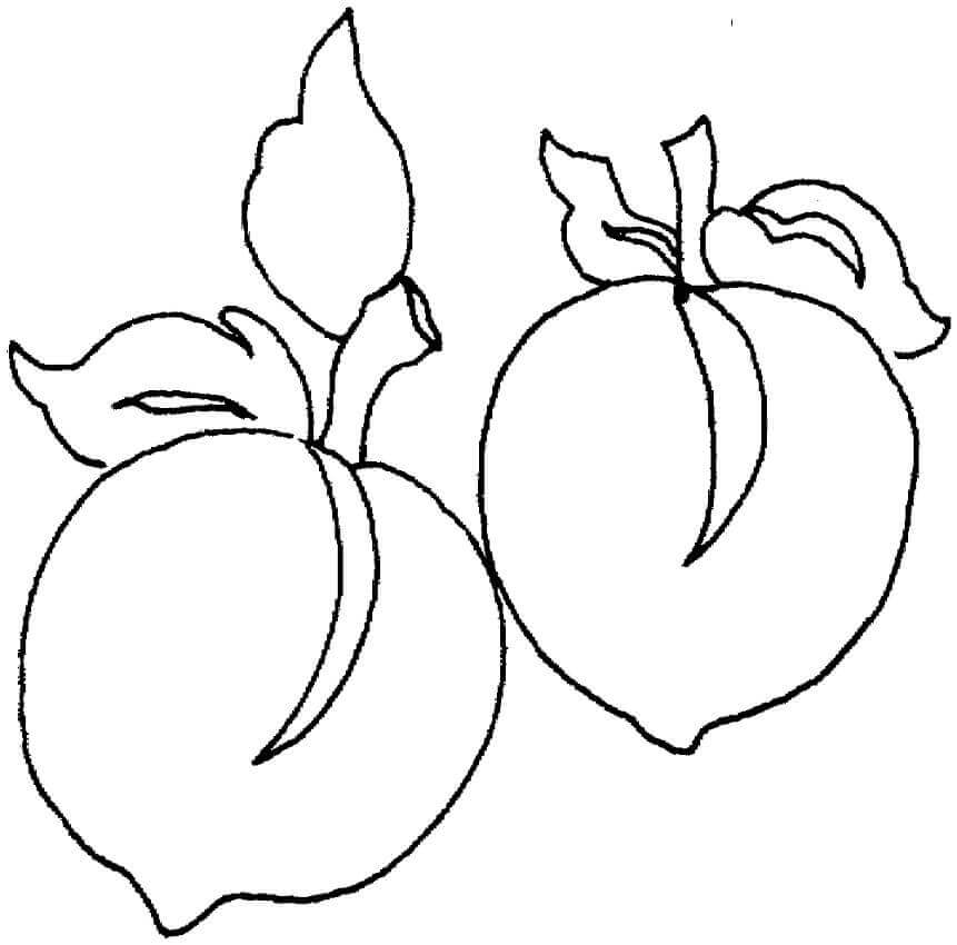 Dibujos de Dos Frutas de Duraznos para colorear