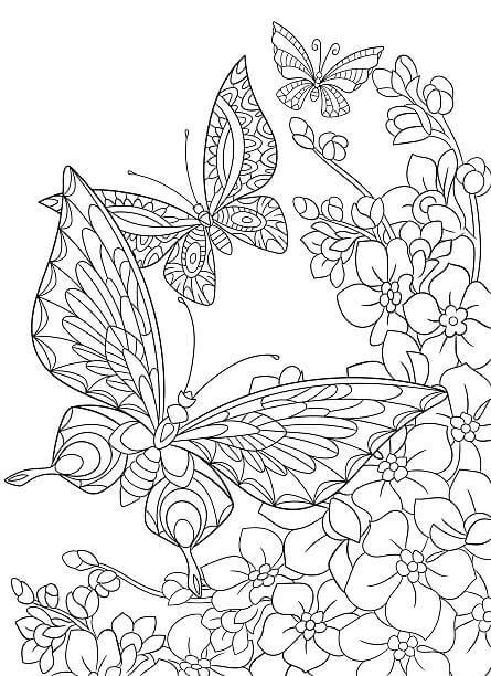 Dibujos de Dos Mariposas para Adultos para colorear