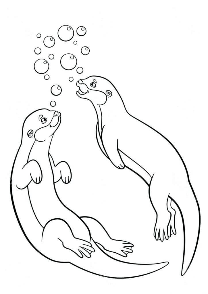 Dibujos de Dos Nutrias Nadando para colorear