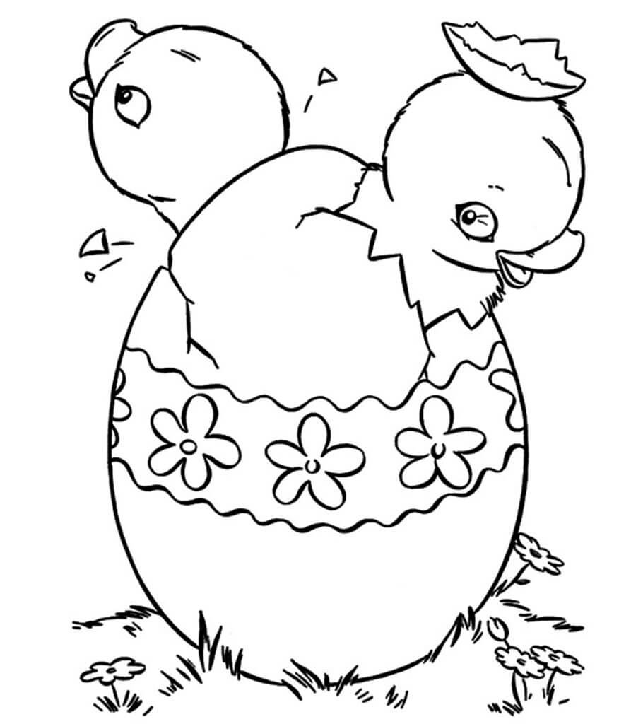 Dibujos de Dos Pollitos en huevo de Pascua Roto para colorear