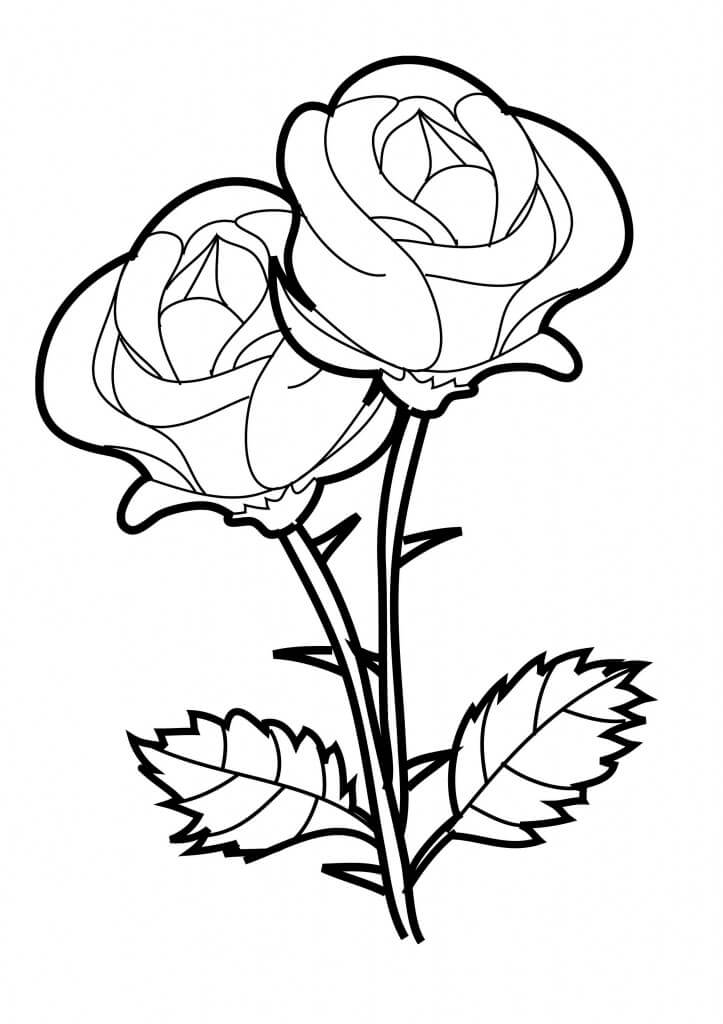 Dibujos de Dos Rosas para colorear