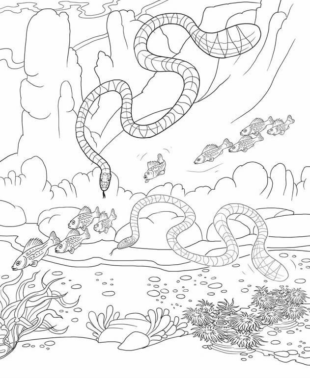 Dibujos de Dos Serpientes Marinas con Peces para colorear