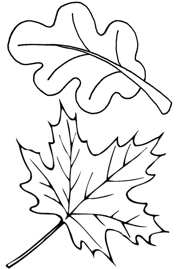 Dibujos de Dos hojas de Otoño para colorear