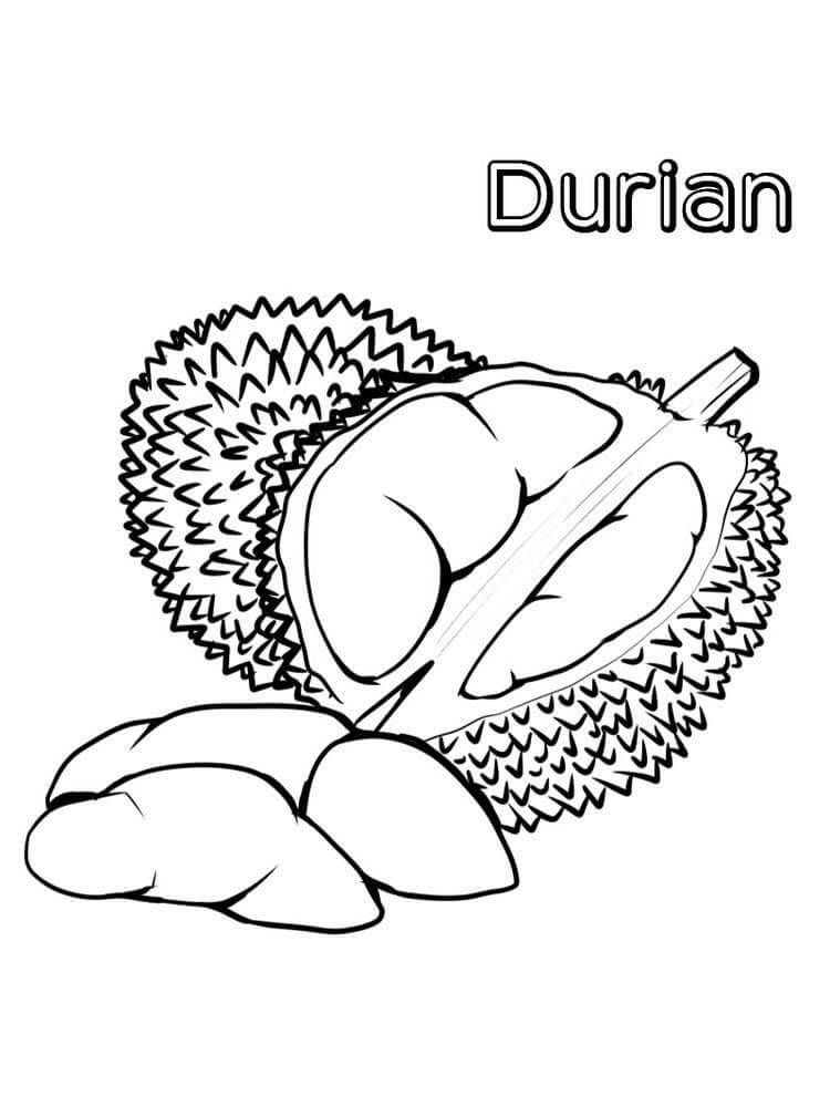 Durian Normal para colorir