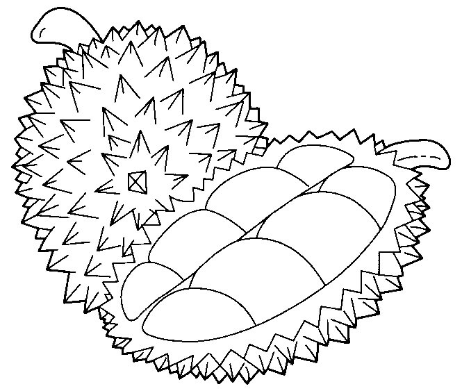 Dibujos de Durian Simple y Medio Durian para colorear